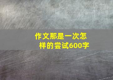 作文那是一次怎样的尝试600字