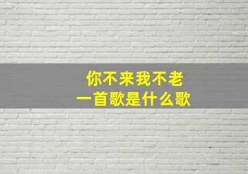 你不来我不老一首歌是什么歌