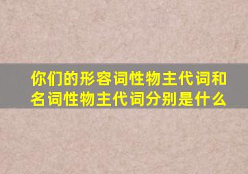 你们的形容词性物主代词和名词性物主代词分别是什么