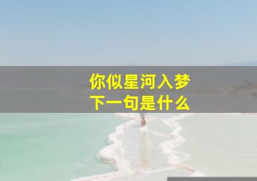 你似星河入梦下一句是什么