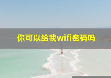 你可以给我wifi密码吗