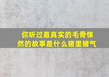 你听过最真实的毛骨悚然的故事是什么猪里猪气