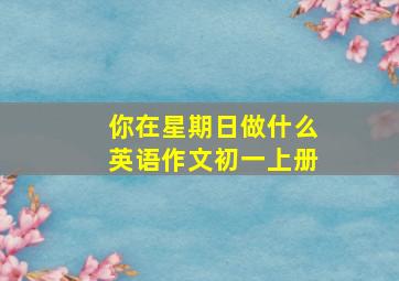 你在星期日做什么英语作文初一上册