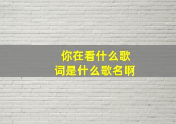 你在看什么歌词是什么歌名啊