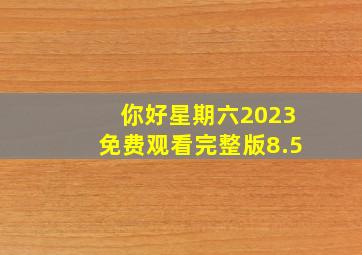 你好星期六2023免费观看完整版8.5