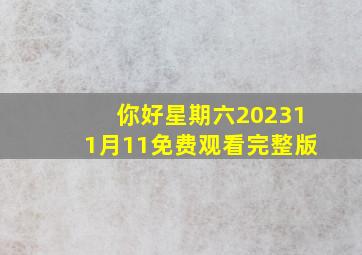 你好星期六202311月11免费观看完整版