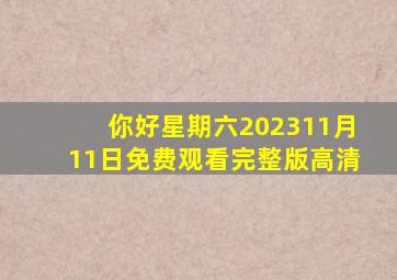 你好星期六202311月11日免费观看完整版高清