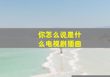 你怎么说是什么电视剧插曲