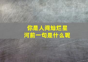 你是人间灿烂星河前一句是什么呢