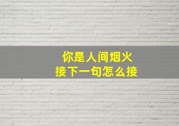 你是人间烟火接下一句怎么接