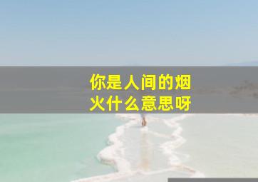 你是人间的烟火什么意思呀