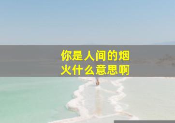 你是人间的烟火什么意思啊