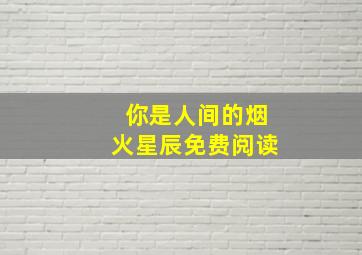 你是人间的烟火星辰免费阅读