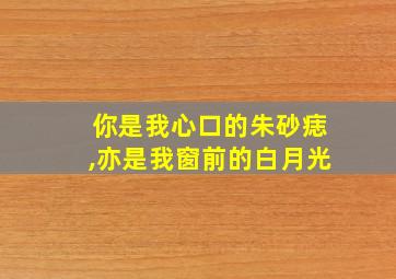 你是我心口的朱砂痣,亦是我窗前的白月光