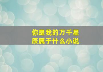 你是我的万千星辰属于什么小说