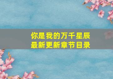 你是我的万千星辰最新更新章节目录