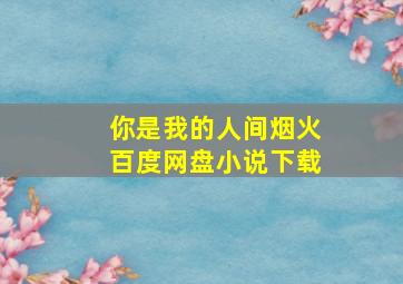 你是我的人间烟火百度网盘小说下载