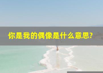 你是我的偶像是什么意思?