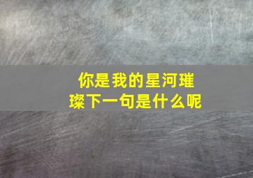 你是我的星河璀璨下一句是什么呢