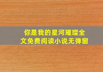 你是我的星河璀璨全文免费阅读小说无弹窗