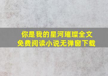 你是我的星河璀璨全文免费阅读小说无弹窗下载