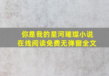 你是我的星河璀璨小说在线阅读免费无弹窗全文