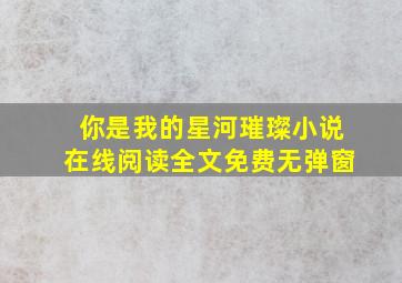 你是我的星河璀璨小说在线阅读全文免费无弹窗