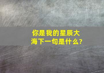 你是我的星辰大海下一句是什么?