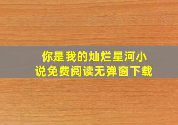 你是我的灿烂星河小说免费阅读无弹窗下载