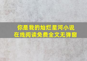 你是我的灿烂星河小说在线阅读免费全文无弹窗