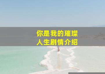 你是我的璀璨人生剧情介绍