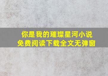 你是我的璀璨星河小说免费阅读下载全文无弹窗