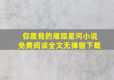 你是我的璀璨星河小说免费阅读全文无弹窗下载