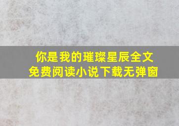 你是我的璀璨星辰全文免费阅读小说下载无弹窗