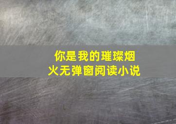 你是我的璀璨烟火无弹窗阅读小说