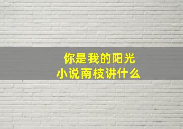 你是我的阳光小说南枝讲什么