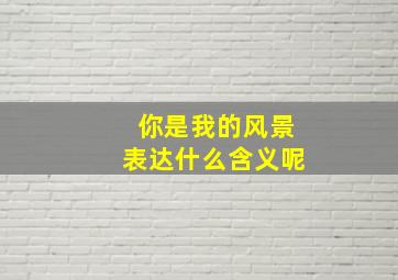 你是我的风景表达什么含义呢