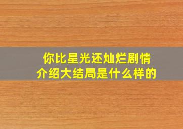 你比星光还灿烂剧情介绍大结局是什么样的