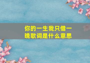 你的一生我只借一晚歌词是什么意思