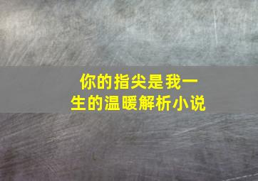 你的指尖是我一生的温暖解析小说