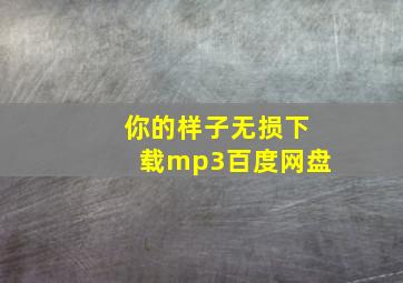 你的样子无损下载mp3百度网盘