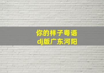 你的样子粤语dj版广东河阳