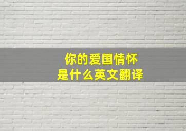 你的爱国情怀是什么英文翻译