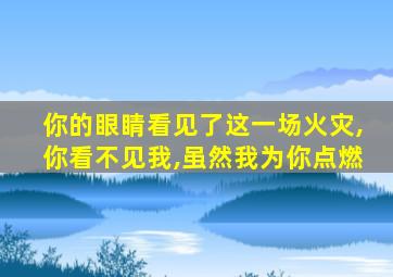 你的眼睛看见了这一场火灾,你看不见我,虽然我为你点燃