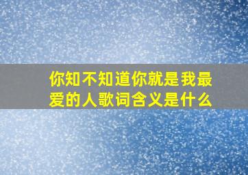 你知不知道你就是我最爱的人歌词含义是什么