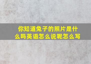 你知道兔子的照片是什么吗英语怎么说呢怎么写