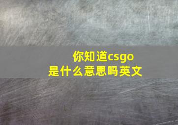 你知道csgo是什么意思吗英文