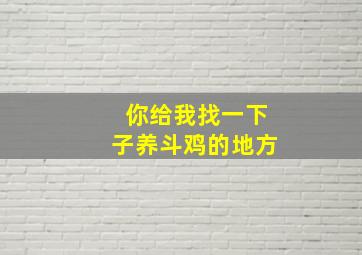 你给我找一下子养斗鸡的地方