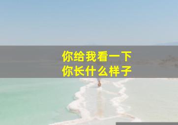 你给我看一下你长什么样子