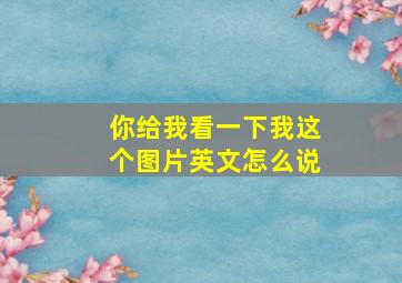 你给我看一下我这个图片英文怎么说